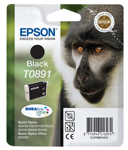 Epson Original T0891 Black Ink Cartridge