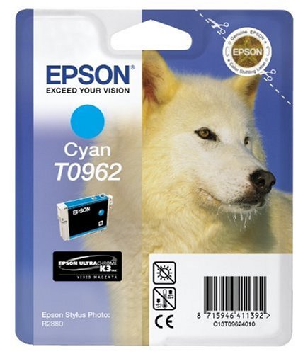 Epson Original T0962 Cyan Ink Cartridge | Cartridge King 