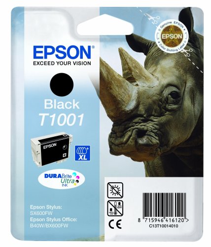 Epson Original T1001 Black Ink Cartridge | Cartridge King 