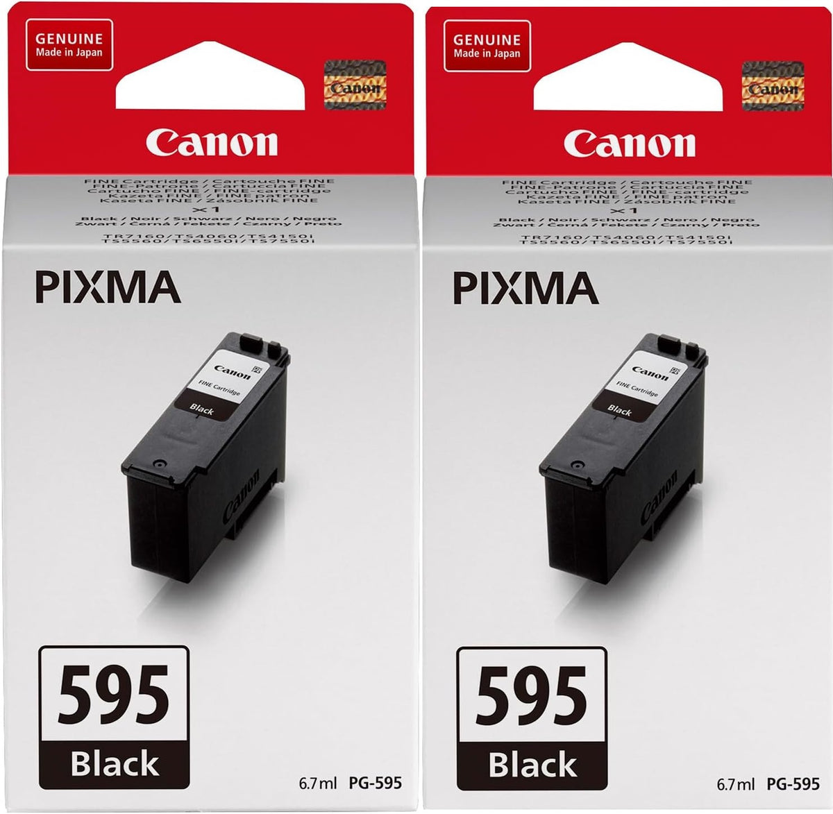 Canon PG-595 Black Ink Cartridge 2 pack - 7171C001