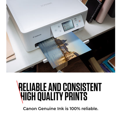 Canon PG-540L / CL-541XL High Yield Genuine Ink Cartridges, Pack of 2 (Colour & Black); Includes 50 Sheets of 4x6 Canon Photo Paper - Cardboard Multipack